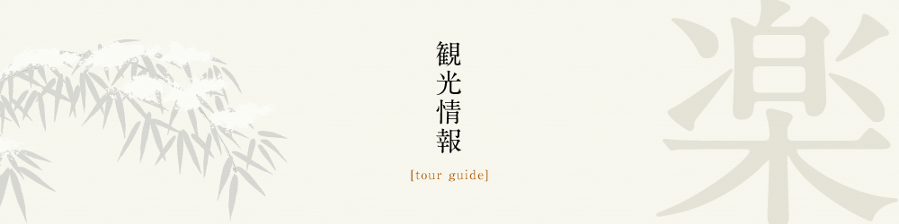 観光情報